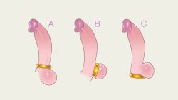 Rule 34 | cock ring, large penis, original, penis, sex toy, tailbox, variations