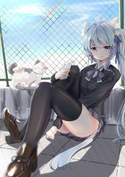 Rule 34 | absurdres, animal ears, asashio (azur lane), asashio (the transfer student underneath the dancing petals) (azur lane), azur lane, black thighhighs, blue eyes, blue hair, cat, cat ears, cat tail, collared shirt, drinking, fence, full body, gradient background, highres, outdoors, pink background, schreibe shura, shirt, skirt, solo, tail, thighhighs, thighs, uniform