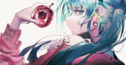 Rule 34 | 1girl, absurdres, apple, blue eyes, blue hair, check commentary, closed eyes, commentary request, earrings, food, from side, fruit, hand up, hatsune miku, highres, holding, holding food, holding fruit, houtei9, jewelry, long sleeves, looking at viewer, red sweater, reflection, sideways glance, solo, sweater, twintails, upper body, vocaloid