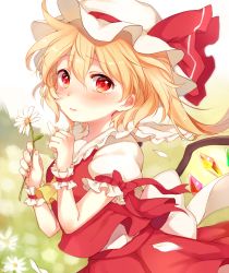 Rule 34 | 1girl, blonde hair, blush, commentary request, daisy, day, flandre scarlet, flower, hair between eyes, hat, hat ribbon, holding, holding flower, looking at viewer, mob cap, outdoors, paragasu (parags112), petals, puffy short sleeves, puffy sleeves, red eyes, ribbon, short hair, short sleeves, skirt, skirt set, solo, touhou, wings, wrist cuffs