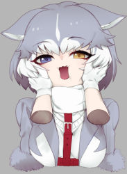 Rule 34 | 1girl, animal ear fluff, animal ears, belt, blue eyes, cheek squash, cropped torso, disembodied hand, dog (mixed breed) (kemono friends), dog ears, fang, fur-trimmed sleeves, fur trim, gloves, grey background, grey hair, heterochromia, kemono friends, looking at viewer, multicolored hair, nyifu, open mouth, pov, pov hands, short hair, simple background, two-tone hair, upper body, white background, white gloves, yellow eyes