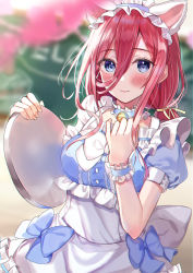 Rule 34 | 1girl, animal ears, apron, bell, blue bow, blue dress, blue eyes, blurry, blurry background, blush, bow, cat ears, chalkboard, closed mouth, commentary request, depth of field, dress, fake animal ears, fingernails, go-toubun no hanayome, hair between eyes, hair ribbon, hand up, highres, holding, holding tray, jingle bell, long hair, low twintails, maid headdress, nakano miku, neck garter, puffy short sleeves, puffy sleeves, red hair, ribbon, sakura (39ra), short sleeves, smile, solo, tray, twintails, waitress, white apron, wrist cuffs, yellow ribbon