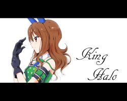 Rule 34 | 1girl, animal ears, armband, black gloves, brown hair, character name, closed mouth, collared dress, commentary request, dress, ear covers, from side, gloves, green dress, horse ears, horse girl, king halo (umamusume), letterboxed, long hair, red eyes, smile, solo, tanaka wonder, umamusume, white background