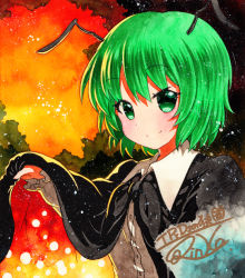 Rule 34 | 1girl, antennae, bad id, bad pixiv id, black cape, buttons, cape, closed mouth, collared shirt, dress shirt, green eyes, green hair, long sleeves, looking at viewer, orange background, outdoors, qqqrinkappp, shikishi, shirt, short hair, signature, smile, solo, touhou, traditional media, upper body, white shirt, wriggle nightbug
