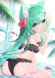 Rule 34 | 1girl, ahoge, animal ear fluff, animal ears, ass, bare shoulders, barefoot, bikini, black bikini, blush, cat ears, cat girl, cat tail, commentary request, covered mouth, finger to mouth, flower, flower on liquid, frilled bikini, frills, green eyes, green hair, hair between eyes, hair flower, hair ornament, hairclip, hand up, hibiscus, highres, mikaze oto, original, petals, petals on liquid, red flower, shallow water, sitting, solo, swimsuit, tail, wariza, water, waterfall, x hair ornament