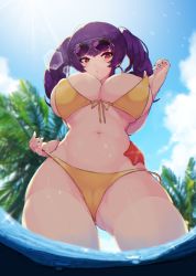 Rule 34 | 1girl, areola slip, azur lane, bikini, bikini pull, blue sky, breasts, cameltoe, clothes pull, day, eyewear on head, from below, front-tie bikini top, front-tie top, highres, large breasts, long hair, looking at viewer, official alternate costume, outdoors, palm tree, pola (azur lane), pola (seaside coincidence) (azur lane), pulled by self, purple hair, red eyes, side-tie bikini bottom, sky, solo, starfish, summer, sunglasses, swimsuit, thighhighs, tree, twintails, wading, wasing, wet, white thighhighs, yajirushi kaku, yellow bikini