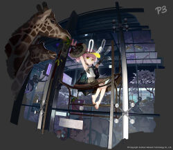 Rule 34 | 1girl, absurdres, animal ears, bare arms, bare legs, bare shoulders, barefoot, blue jacket, charm (object), chinese commentary, closed mouth, commentary request, fake animal ears, feeding, full body, giraffe, girls&#039; frontline neural cloud, green shorts, highres, holding, holding walkie-talkie, jacket, pink hair, rabbit ears, shirt, short hair, short shorts, shorts, sitting, sleeveless, sleeveless shirt, soles, solo, taisch (neural cloud), tianliang duohe fangdongye, toes, twintails, visor cap, walkie-talkie, white shirt, yellow eyes