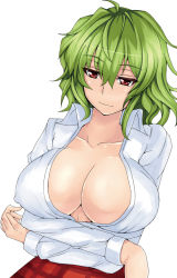 Rule 34 | 1girl, ashima takumi, breast hold, breasts, cleavage, covered erect nipples, crossed arms, female focus, green hair, kazami yuuka, large breasts, light smile, open clothes, open shirt, red eyes, shirt, short hair, simple background, solo, touhou, xeqj