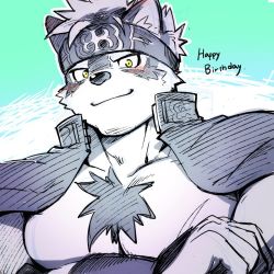 Rule 34 | 1boy, animal ears, bara, blush, chest hair, crossed arms, facial hair, furry, furry male, gakuran, goatee, grey fur, grey hair, headband, horkeu kamui, jacket, jacket on shoulders, large pectorals, male focus, manly, multicolored hair, muscular, pectorals, revealing clothes, school uniform, short hair, sideburns, simple background, solo, tokyo houkago summoners, two-tone fur, upper body, waku (ayamix), white fur, wolf boy, wolf ears, yellow eyes