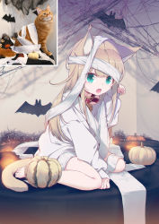 Rule 34 | 1girl, 40hara, animal ear fluff, animal ears, aqua eyes, blonde hair, blunt bangs, cat ears, cat girl, cat tail, collar, halloween, highres, kinako (40hara), long hair, looking at viewer, open mouth, orange cat, original, oversized clothes, photo-referenced, photo inset, red collar, reference inset, shirt, sitting, solo, t-shirt, tail, toilet paper, wariza