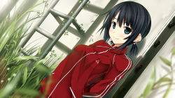 Rule 34 | 1girl, arishima alice, arms behind back, black hair, blue eyes, blurry, blush, breasts, cura, depth of field, dutch angle, flat (company), game cg, highres, looking at viewer, medium breasts, monobeno, short hair, short ponytail, smile, solo, track suit, wallpaper