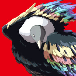 Rule 34 | absurdres, animal focus, avogado6, bird, colorful, highres, looking at viewer, multicolored eyes, multicolored wings, no humans, original, red background, simple background, vulture, wings