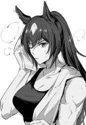 Rule 34 | 1girl, absurdres, alternate costume, animal ears, bojue (hakus 1128), breasts, cleavage, greyscale, high ponytail, highres, holding, holding towel, horse ears, long hair, looking at viewer, medium breasts, monochrome, multicolored hair, one eye closed, parted lips, simple background, sirius symboli (umamusume), solo, sports bra, streaked hair, sweat, towel, umamusume, very long hair, white background, wiping sweat