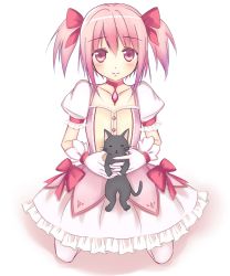 Rule 34 | 10s, 1girl, amy (madoka magica), bad id, bad pixiv id, black cat, blush, cat, dress, gloves, kaname madoka, kirimoti34, mahou shoujo madoka magica, mahou shoujo madoka magica (anime), pink eyes, pink hair, revision, solo, twintails