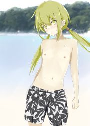 Rule 34 | 1girl, absurdres, beach, black male swimwear, black swim trunks, blush, breasts, closed mouth, crossdressing, disuto, female focus, flat chest, floral print, floral swimsuit, green eyes, green hair, hibiscus print, highres, kantai collection, looking at viewer, male swimwear, male swimwear challenge, medium hair, multicolored clothes, multicolored male swimwear, multicolored swim trunks, multicolored swimsuit, nipples, print male swimwear, print swim trunks, print swimsuit, sand, satsuki (kancolle), solo, sweat, swim trunks, swimsuit, tagme, topless, twintails, water, white male swimwear, white swim trunks