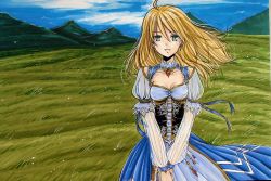 Rule 34 | 1girl, ahoge, alternate costume, artoria pendragon (all), artoria pendragon (fate), blonde hair, breasts, cleavage, cleavage cutout, clothing cutout, collarbone, corset, dress, fate/stay night, fate (series), field, gem, green eyes, hair down, long hair, marker (medium), mountain, puffy sleeves, saber (fate), see-through, solo, traditional media, tusia, v arms, wind