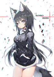 Rule 34 | 1girl, animal ear fluff, animal ears, black hair, blush, bottomless, breasts, chromatic aberration, closed mouth, cowboy shot, fur trim, grey eyes, hands in pockets, highres, hood, hoodie, large breasts, long hair, long sleeves, looking at viewer, mamuru, original, solo, tail, v-shaped eyebrows, very long hair, wolf ears, wolf tail
