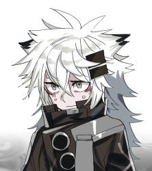 Rule 34 | 1girl, animal ears, arknights, black jacket, chinese commentary, commentary request, hair between eyes, hair ornament, hairclip, high collar, jacket, lappland (arknights), long hair, solo, sweat, upper body, white background, white hair, wolf ears, yu yanshu