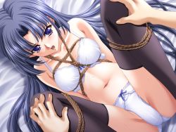 Rule 34 | 1girl, angry, arms behind back, bdsm, black thighhighs, blue eyes, blue hair, bondage, bound, bound legs, bow, bow panties, bra, breast bondage, breasts, frogtie, game cg, holding legs, lace, lace-trimmed bra, lace-trimmed panties, lace trim, lingerie, matching hair/eyes, medium breasts, navel, open mouth, panties, rope, shibari, shinomiya karin, solo, solo focus, spread legs, sweat, thighhighs, underwear, underwear only, watanabe yoshihiro, zebra ~ryoshuu no yakata~