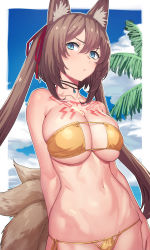 Rule 34 | 1girl, animal ear fluff, animal ears, arm at side, arm behind back, bare arms, bare shoulders, beach, bikini, blue eyes, blue sky, border, breasts, brown hair, caleen keemosn, choker, cleavage, collarbone, commentary request, cowboy shot, day, eyepatch bikini, fox ears, fox tail, hair between eyes, hair ribbon, jewelry, large breasts, long hair, looking at viewer, multiple tails, navel, outdoors, outside border, palm tree, pendant, red ribbon, ribbon, side-tie bikini bottom, sky, solo, square enix, star ocean, star ocean anamnesis, stomach, strapless, strapless bikini, string bikini, swimsuit, tail, tattoo, tenchisouha, tree, twintails, underboob, very long hair, white border, yellow bikini