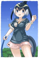 Rule 34 | 1girl, absurdres, adapted costume, anchor symbol, black hair, blonde hair, blouse, blue eyes, blue shirt, breast pocket, cetacean tail, commentary request, common dolphin (kemono friends), cowboy shot, fins, fish tail, highres, hose, iwa (iwafish), kemono friends, kemono friends 3, multicolored hair, pocket, sailor collar, sailor shirt, shirt, short hair, short shorts, short sleeves, shorts, solo, t-shirt, tail, water, white hair, white shorts