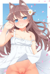 Rule 34 | 1girl, animal ears, blue eyes, blush, breasts, brown hair, cleft of venus, closed mouth, collarbone, daisy, dog ears, dress, flower, hair flaps, hair flower, hair ornament, highres, long hair, looking at viewer, original, petals, pussy, sidelocks, small breasts, smile, solo, strap slip, sundress, tachimi (basue), uncensored, white dress, white flower