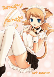 Rule 34 | 00s, animal ears, cat ears, maid, ryp, sasamori karin, solo, thighhighs, to heart (series), to heart 2