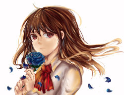 Rule 34 | 1girl, bad id, bad pixiv id, blue flower, blue rose, brown hair, flower, ib (ib), ib (kouri), kumo (dc12365489123), petals, red eyes, rose, solo, tears