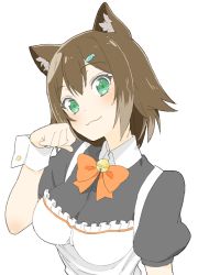 Rule 34 | 1girl, :3, absurdres, animal ears, apron, bad id, bad twitter id, bell, bow, bowtie, brown hair, cat ears, collared shirt, donguri suzume, fumino tamaki, green eyes, hair ornament, hairclip, head tilt, highres, jingle bell, maid, nijisanji, orange bow, orange bowtie, paw pose, puffy short sleeves, puffy sleeves, shirt, short hair, short sleeves, simple background, solo, upper body, virtual youtuber, white background, wing collar, wrist cuffs