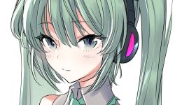 Rule 34 | 1girl, bad id, bad twitter id, bare shoulders, closed mouth, collared shirt, commentary request, green eyes, green hair, green necktie, grey shirt, hatsune miku, headphones, maruchi, necktie, portrait, shirt, smile, solo, twintails, vocaloid, wing collar