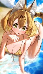 Rule 34 | 1girl, :p, all fours, animal ear fluff, animal ears, animal print, beach, bikini, blonde hair, blush, breasts, cleavage, closed mouth, collarbone, day, extra ears, front-tie bikini top, front-tie top, hair between eyes, hakoneko (marisa19899200), hand up, highres, kemono friends, looking at viewer, medium breasts, medium hair, ocean, outdoors, parted bangs, paw pose, print bikini, sand, serval (kemono friends), serval print, side-tie bikini bottom, solo, swimsuit, tail, tongue, tongue out, water, yellow eyes