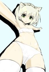 Rule 34 | 00s, 1girl, aki426, animal ears, bad id, bad pixiv id, cat ears, from below, panties, sanya v. litvyak, solo, strike witches, thighhighs, underwear, world witches series