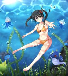 Rule 34 | 1girl, = =, armpits, barefoot, bikini, black hair, blush, breasts, bubble, cameltoe, chunsoft, claws, dragon, dragon quest, dragon quest iii, enix, fangs, feet, fighter (dq3), floating hair, foreshortening, freediving, full body, gem, grey eyes, hair between eyes, hair bobbles, hair ornament, head tilt, jellyfish, jiino, light smile, long hair, looking at viewer, marine slime, merman (dragon quest), monster, navel, no pupils, o-ring, o-ring bikini, o-ring top, orange bikini, outstretched arm, seaweed, shell, man o&#039; war (dragon quest), slime (dragon quest), small breasts, smile, solo, spikes, sun, swimsuit, tentacles, twintails, underwater, water