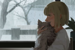 Rule 34 | 1girl, androgynous, animal, bare tree, blonde hair, blunt bangs, blunt ends, blush, bob cut, brown eyes, cloud, cloudy sky, commentary request, day, fence, from side, hand up, highres, holding, holding animal, indoors, kaname (emanalc), looking away, original, overcast, plant, potted plant, profile, rain, short hair, sitting, sky, solo, tree, upper body, windowsill