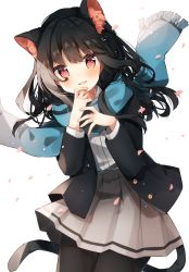 Rule 34 | 1girl, absurdres, animal ear fluff, animal ears, black hair, black jacket, black pantyhose, blue scarf, blush, cat ears, cat girl, cat tail, commentary, grey skirt, hand on own chin, hands up, heripiro, highres, jacket, long hair, long sleeves, looking at viewer, open clothes, open jacket, original, pantyhose, pleated skirt, red eyes, scarf, shirt, skirt, solo, standing, symbol-only commentary, tail, white shirt