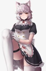 Rule 34 | 1girl, animal ears, blue eyes, collar, commentary, deku suke, dog (mixed breed) (kemono friends), dog ears, frilled gloves, frills, frown, gloves, grey hair, heterochromia, highres, kemono friends, looking at viewer, maid, maid headdress, puffy short sleeves, puffy sleeves, short hair, short sleeves, simple background, solo, symbol-only commentary, thigh strap, thighhighs, white background, white gloves, white thighhighs, yellow eyes