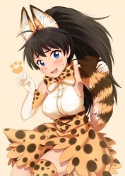 Rule 34 | 10s, 1girl, :3, :d, animal ear fluff, animal ears, antenna hair, armpit crease, armpits, bad id, bad pixiv id, bare shoulders, belt, black hair, blue eyes, blush, bow, bowtie, breasts, brown belt, claw pose, commentary request, commission, cosplay, cross-laced clothes, crossover, fang, furrowed brow, ganaha hibiki, gloves, hands up, high-waist skirt, high ponytail, hiiringu, holding own tail, idolmaster, idolmaster (classic), kemono friends, kemonomimi mode, large breasts, long hair, looking at viewer, open mouth, orange background, orange bow, orange bowtie, orange gloves, orange skirt, orange thighhighs, paw print, print bow, print bowtie, print gloves, print neckwear, print skirt, print thighhighs, serval (kemono friends), serval (kemono friends) (cosplay), serval print, serval tail, shirt, shirt tucked in, simple background, skirt, sleeveless, sleeveless shirt, smile, solo, sweatdrop, tail, thighhighs, thighs, very long hair, zettai ryouiki