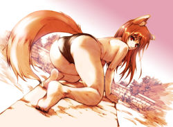 Rule 34 | 00s, 1girl, all fours, animal ears, ass, barefoot, bent over, black panties, brown hair, dutch angle, from behind, hisahiko, holo, long hair, looking at viewer, looking back, panties, parted lips, red eyes, soles, solo, spice and wolf, tail, topless, underwear, wolf ears, wolf tail