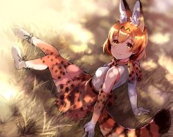 Rule 34 | 10s, 1girl, animal ears, animal print, arm support, belt, blonde hair, blush, boots, dappled sunlight, dress, elbow gloves, from above, gloves, grass, kemono friends, light smile, looking at viewer, orange eyes, outdoors, serval (kemono friends), serval print, serval tail, short hair, sitting, sleeveless, sleeveless dress, solo, sunlight, tail, tan (tangent), thighhighs