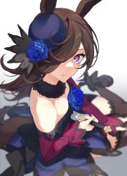 Rule 34 | 1girl, absurdres, animal ears, artist name, blue dress, blue flower, blue headwear, blue rose, blurry, breasts, brown thighhighs, coccix, dagger, depth of field, dress, flower, fur choker, hair over one eye, highres, holding, holding dagger, holding knife, holding weapon, horse ears, horse girl, horse tail, knife, looking at viewer, off-shoulder dress, off shoulder, parted lips, purple eyes, rice shower (umamusume), rose, sitting, small breasts, solo, tail, thighhighs, umamusume, weapon, yokozuwari