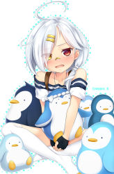 Rule 34 | 1girl, ahoge, azur lane, bad id, bad pixiv id, bandaid, bandaid on face, bandaid on nose, collarbone, downes (azur lane), eyes visible through hair, fang, hair ornament, hair over one eye, hairclip, heterochromia, indian style, looking at viewer, mole, mole under eye, nnyara, open mouth, silver hair, sitting, stuffed animal, stuffed penguin, stuffed toy, thighhighs, twitter username, white thighhighs