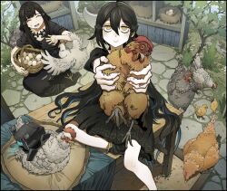 2girls anna_(girls&#039;_frontline) basket bird bird_nest black_dress black_hair black_shoes chick chicken chickenapple33 colored_skin dandelion_(girls&#039;_frontline) dinergate_(girls&#039;_frontline) dress egg flower girls&#039;_frontline grass hair_ornament highres holding holding_basket long_hair multiple_girls nest nyto_(girls&#039;_frontline) pillow plant potted_plant robot shoes stone_floor table tree white_flower white_skin wooden_table yellow_eyes