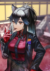 Rule 34 | 1girl, animal ear fluff, animal ears, arknights, black coat, black hair, breasts, coat, collared shirt, cowboy shot, eyebrows hidden by hair, female focus, food, food in mouth, gloves, highres, holding, indoors, long hair, long sleeves, medium breasts, mouth hold, official alternate costume, open clothes, open coat, pocky, ponytail, red eyes, red gloves, red shirt, shirt, sidelocks, signature, smoke, solo, texas (arknights), texas (willpower) (arknights), underbust, wanko (realsight), wolf ears