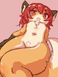 Rule 34 | 1girl, breasts, female focus, fox, furry, furry female, nipples, nude, ohakotome, red eyes, red hair, short hair, solo
