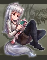 Rule 34 | 1girl, animal ears, black pantyhose, black row, brush, full body, highres, long hair, myuri (spice and wolf), no shoes, pantyhose, pantyhose under shorts, red eyes, shinsetsu spice and wolf, shirt, shorts, silver hair, sitting, smile, solo, spice and wolf, tail, wolf ears, wolf tail