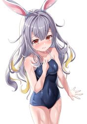 Rule 34 | 1girl, absurdres, animal ears, blue one-piece swimsuit, breasts, brown eyes, commentary request, competition school swimsuit, covered navel, cowboy shot, esuorder, grey hair, highres, indie virtual youtuber, looking at viewer, medium breasts, mochizuki himari, one-piece swimsuit, rabbit ears, rabbit girl, school swimsuit, simple background, solo, standing, swimsuit, virtual youtuber, wet, wet clothes, wet swimsuit, white background