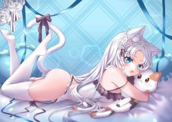 Rule 34 | :o, animal ears, ass, bare arms, bare shoulders, black ribbon, blue eyes, blue ribbon, bottomless, breasts, camisole, cat ears, cat girl, cat tail, fang, feet up, flower, frilled pillow, frills, hair flower, hair ornament, heart, heart-shaped pillow, indie virtual youtuber, large breasts, lingerie, long hair, lying, no shoes, on bed, on stomach, open mouth, parted bangs, pillow, ribbon, sideboob, spaghetti strap, stuffed animal, stuffed cat, stuffed toy, tail, tail ornament, tail raised, tail ribbon, thighhighs, underwear, white hair, white legwear