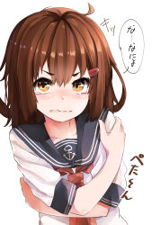 Rule 34 | 1girl, anchor symbol, black sailor collar, breast conscious, brown hair, commentary request, crossed arms, hair ornament, hairclip, highres, ikazuchi (kancolle), kantai collection, looking at viewer, neckerchief, red neckerchief, sailor collar, school uniform, serafuku, short hair, short sleeves, simple background, solo, taisho (gumiyuki), upper body, white background