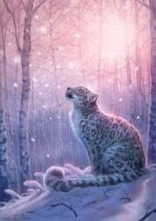 Rule 34 | animal, animal focus, artist name, birch tree, deyvarah, forest, from side, highres, lhuin, nature, no humans, original, outdoors, snow, snow leopard, solo, watermark