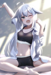 Rule 34 | 1girl, ahoge, animal ears, black bra, black shorts, blush, bra, breasts, commentary request, earrings, ears down, fang, fox ears, fox girl, fox tail, green eyes, hair between eyes, highres, hololive, indian style, indoors, jewelry, looking at viewer, one eye closed, open clothes, open mouth, open shirt, outstretched arm, shadow, shirai yu, shirakami fubuki, shirt, shorts, sitting, skin fang, small breasts, solo, sports bra, tail, underwear, virtual youtuber, white hair, white shirt, yawning